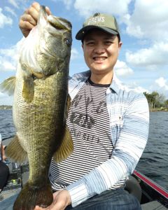 Largemouth Bass caught while fishing in Winter Garden Fl