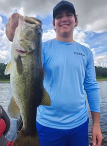 Largemouth bass caught in Winter Garden, FL