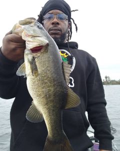 One fisherman catching a big fish in FL