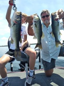 Three largemouth bass caught during fishing in FL
