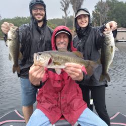 Three large Florida Bass and Largemouth Bass caught fishing in FL