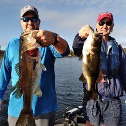 Two largemouth bass caught while fishing in FL