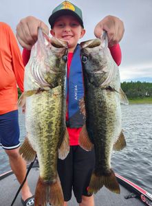 Two largemouth bass caught in Winter Garden, FL