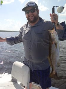 Spotted Seatrout are abundant!