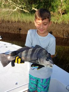 Puppy Drum in the backwaters