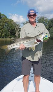 Snook on Artificial Lures!