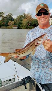 St. Johns River Snook!