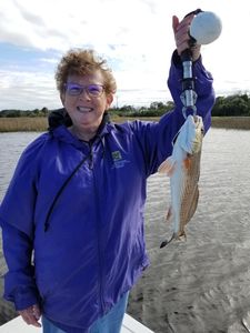 Sight Fish Redfish!