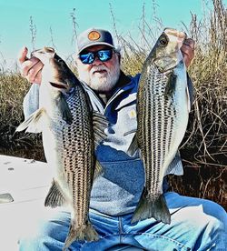 Prime Jacksonville Brackish fishing charters.