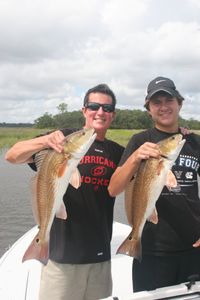 Redfish are plentiful