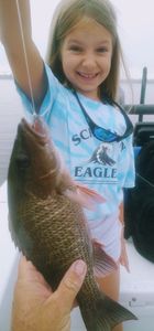 Angler fishing in FL