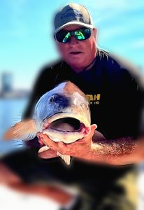 Fishing adventure in FL