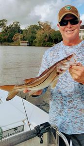 Caught a 17-inch fish while fishing in FL