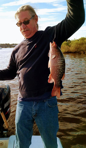 Grey Snapper, 13-inch fish, fishing in FL