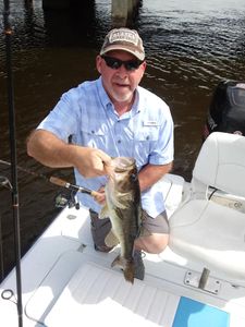 Largemouth Bass Fishing in Florida