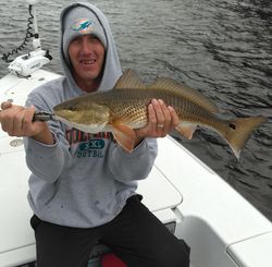 Redfish caught in Florida