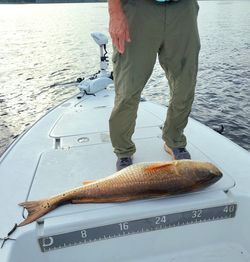 Scenic landscape of Florida with fishing gear