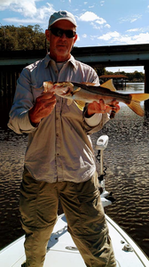 Snook fish caught in FL