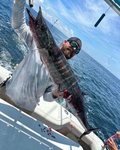 Wahoo fish catch on fishing boat in Pensacola Beach FL waters