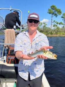 Inshore fishing charters Panama City Beach Catches