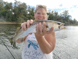 One person fishing in Panama City