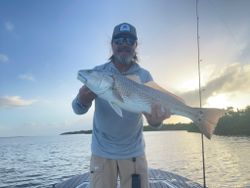 Redfish caught in Panama City, Florida