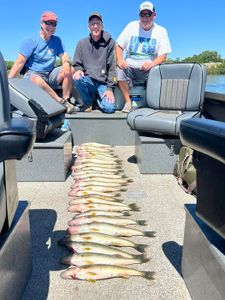 Three anglers posing with their catch on the shore of WA