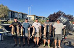 8 rainbow trout caught while fishing in Richland