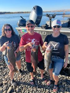 3 rainbow trout caught in Richland