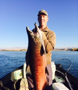 Angler holding a 33-inch fish in WA