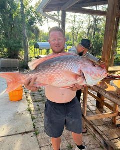 Red Snapper Fishing in Naples, FL!