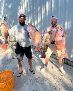 4 big fishing catch in FL