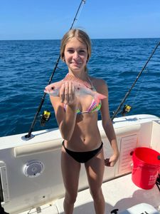 Fresh caught fish displayed on fishing boat in Danford St FL waters