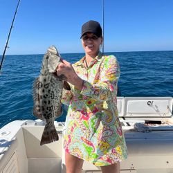 Gag grouper caught while fishing in Danford St FL waters