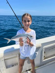 Greater amberjack caught while fishing in Danford St FL