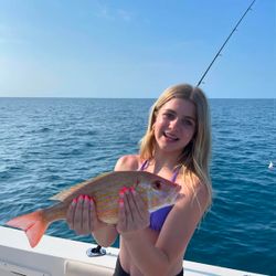 Lane snapper caught while fishing in Danford St FL