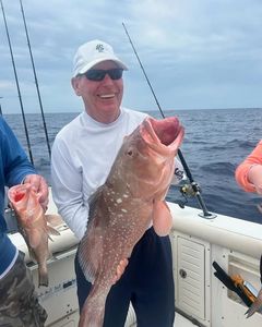 Red grouper catch on fishing charter boat near Danford St FL
