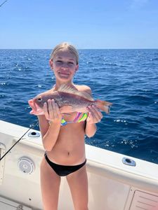 Red grouper caught fishing in Danford St FL waters
