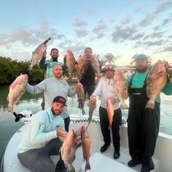 Successful fishing trip displaying multiple red grouper and other fish species caught in Danford St FL waters