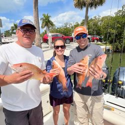 Successful fishing trip in Danford St FL showing fresh caught red snapper and other fish species