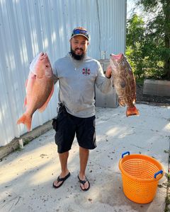 Two black grouper, a large catch on Danford St