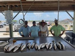 Four anglers fishing in TX