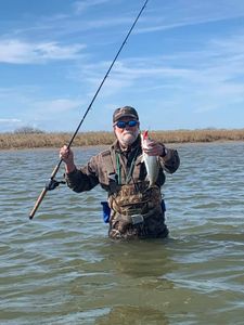 One person fishing in Matagorda