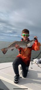 A lone fisherman reels in a big catch in TX.