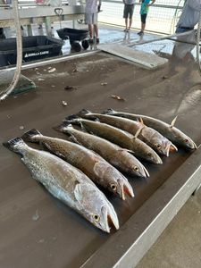 One angler fishing in TX