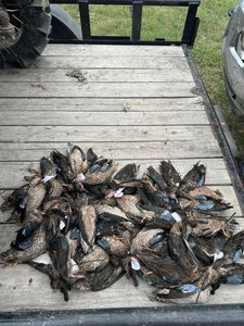 Scenic view of Matagorda during a fishing trip