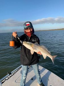 Redfish caught in TX, fishing