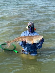 Redfish caught in TX