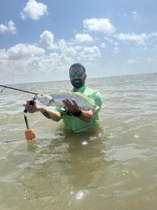 Spotted Weakfish caught while fishing in TX