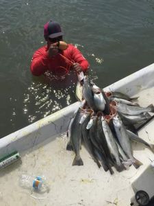 Two fishing rods in Matagorda